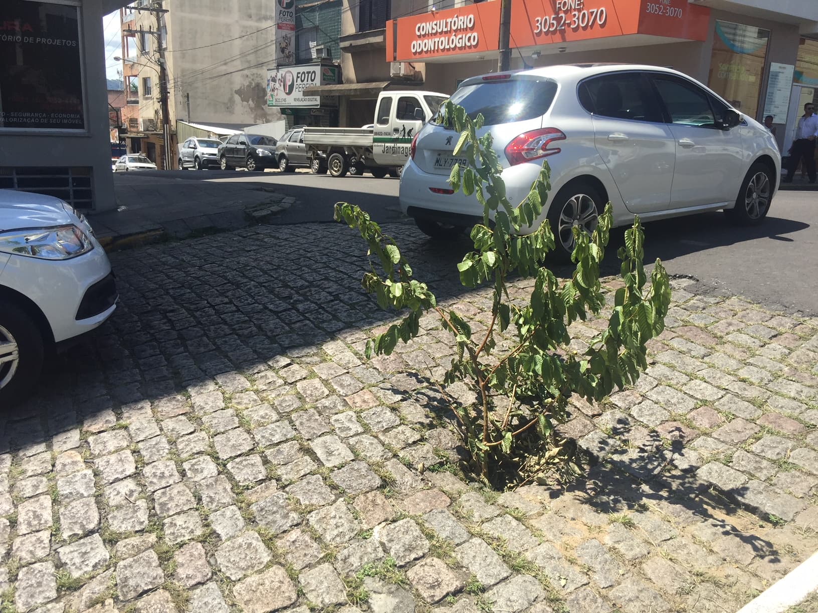 Tem buraco na pista: moradores improvisam alerta