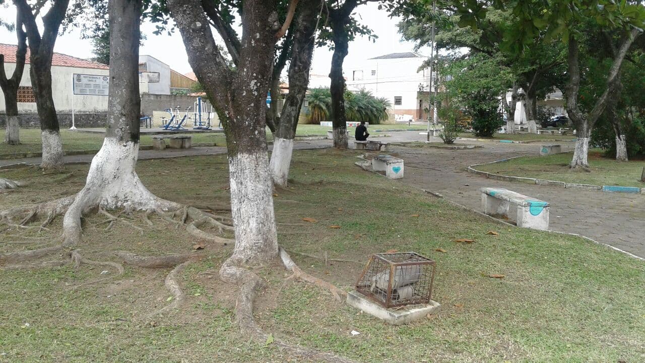 Praça da Love Story recebe serviço de roçagem e limpeza