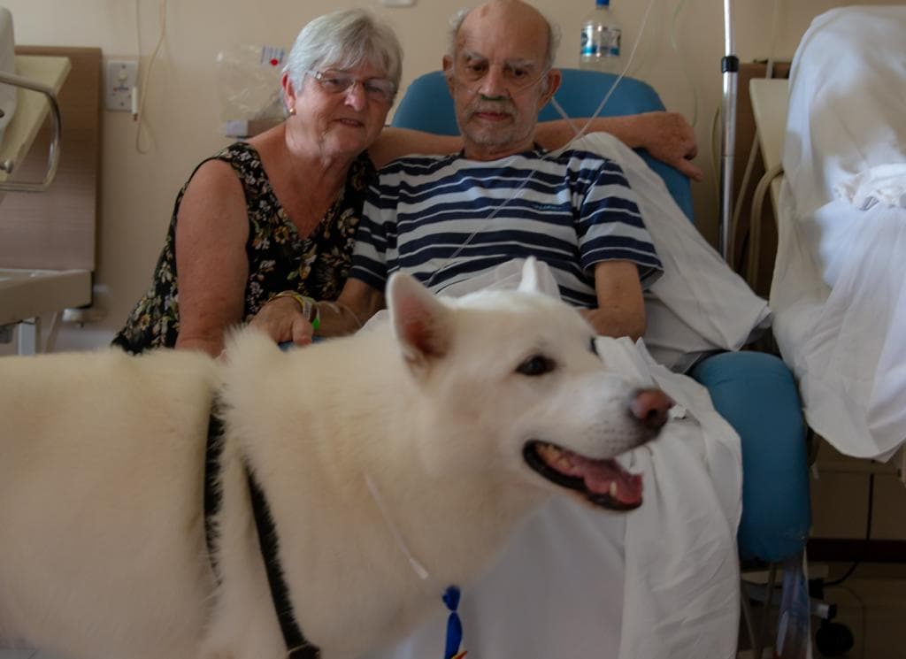 Paciente de 72 anos recebe visita de seu cão no hospital