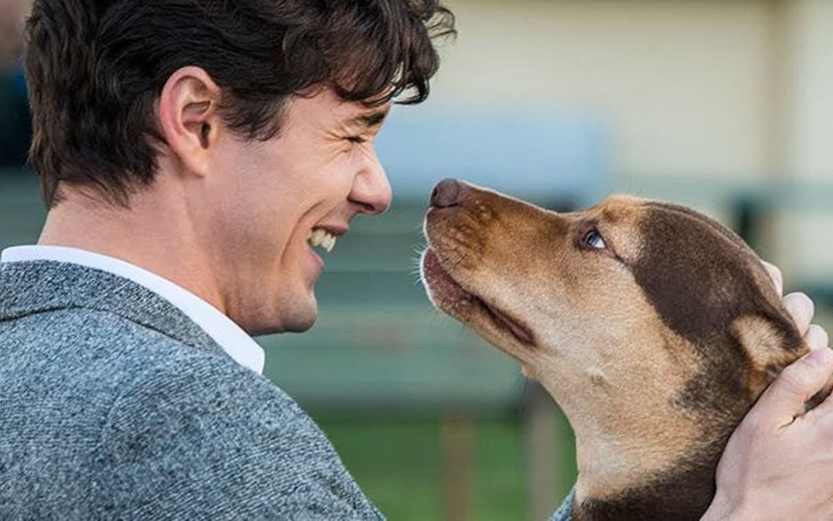 Confira a programação do cinema de 28 de fevereiro a 6 de março