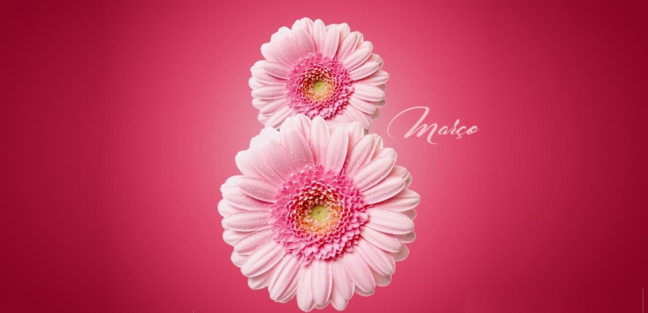 Dia Internacional da Mulher é celebrado com diversos eventos