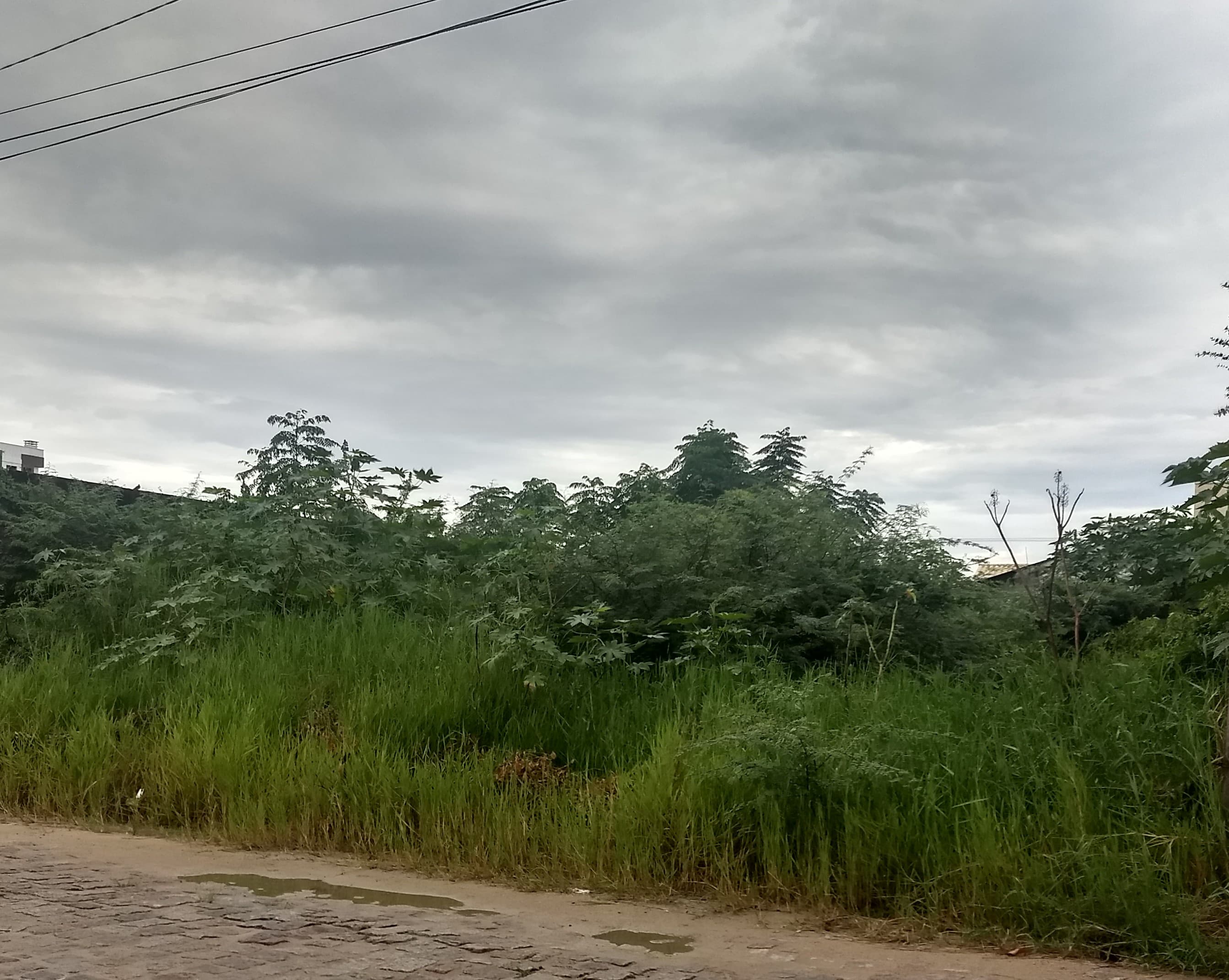 Mais de 150 proprietários de terrenos baldios foram notificados de janeiro a março