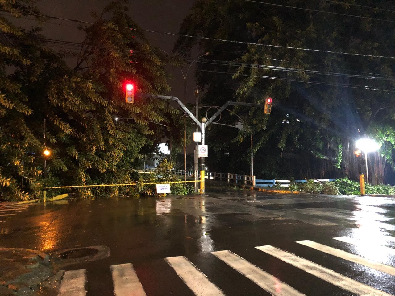 Árvore cai e interdita entrada das pontes do Centro