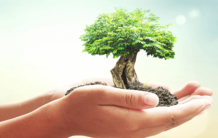 Atividades celebrarão o Dia do Meio Ambiente