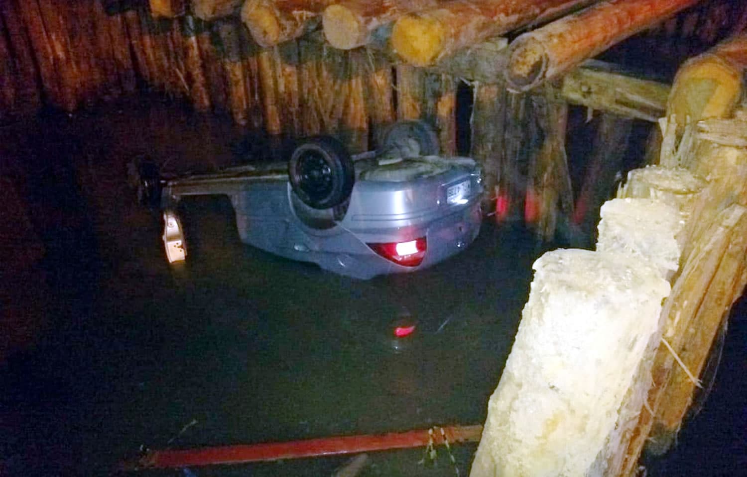 Carro com cinco ocupantes cai no rio ao passar por ponte em construção; cachorro não resistiu