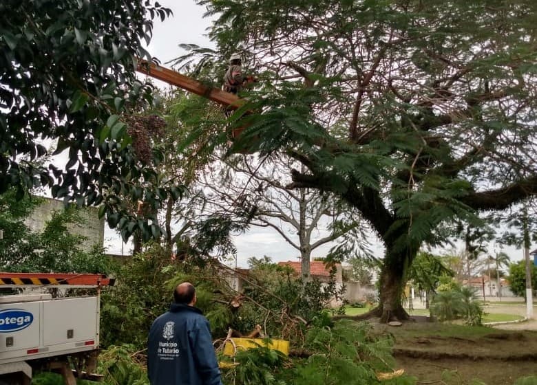 Podas e reforma estão no cronograma da semana da equipe de serviços públicos