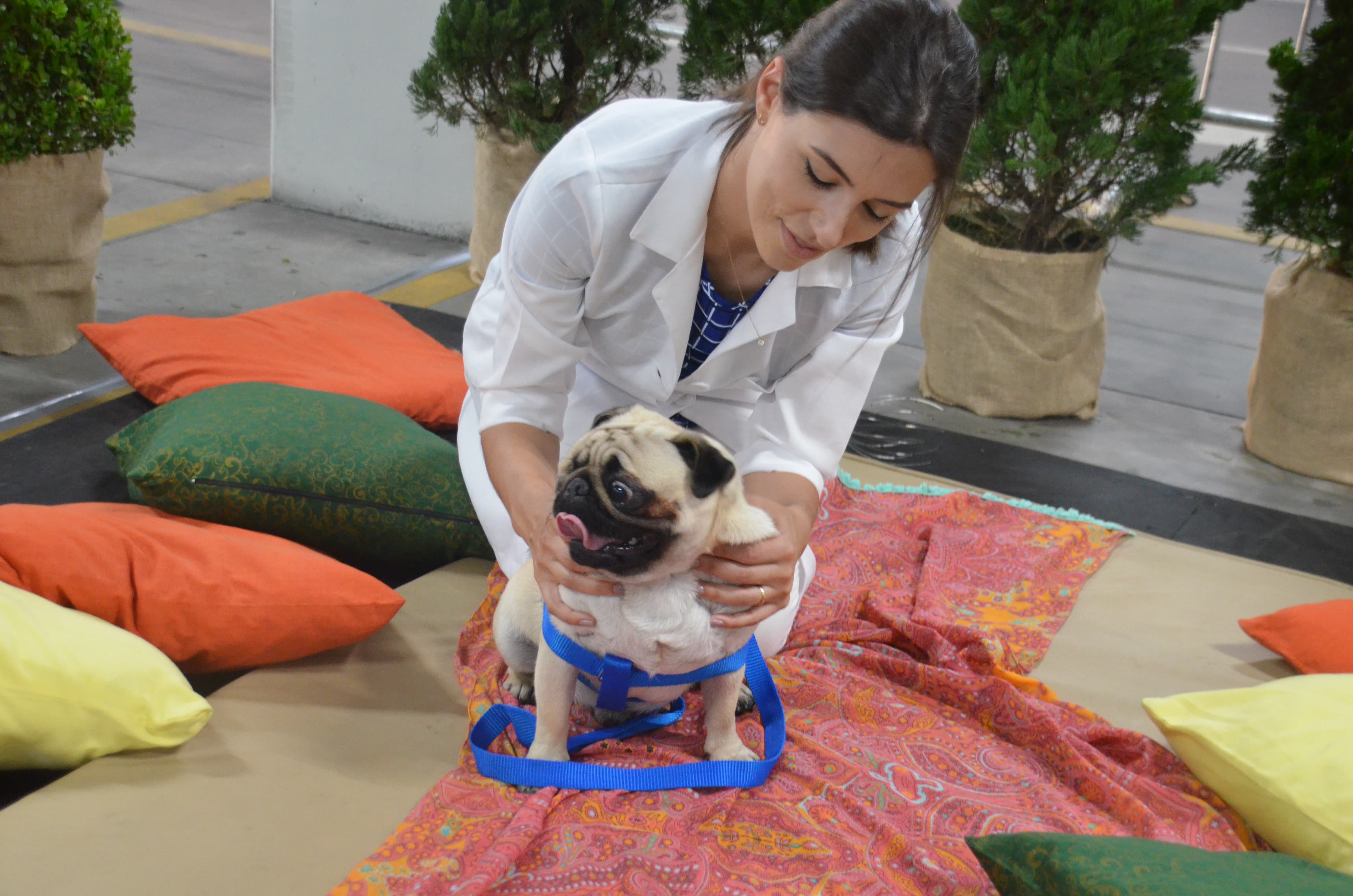 Maior evento pet do sul catarinense ocorrerá no fim de semana