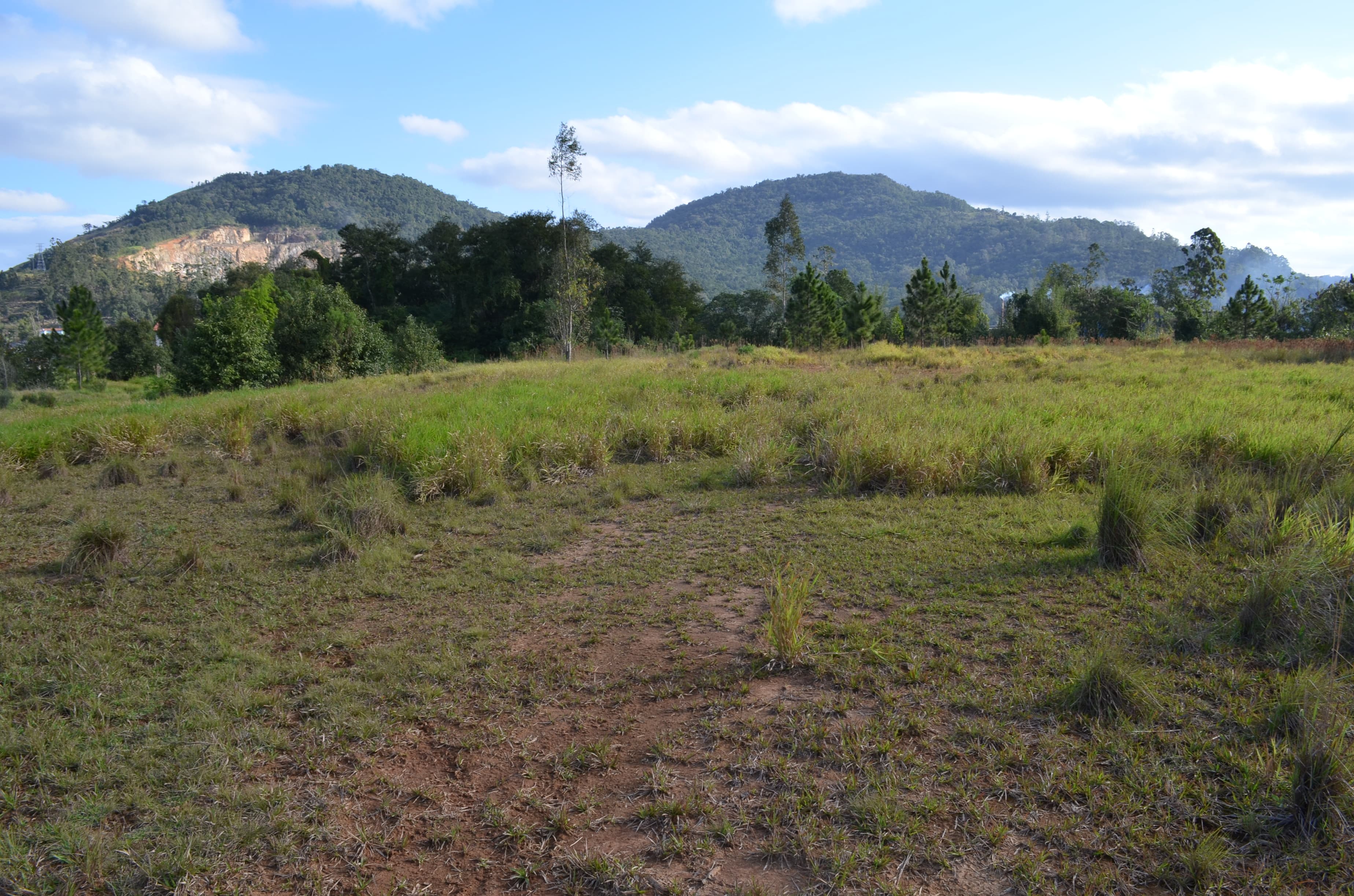 Parque industrial do São João ME será urbanizado