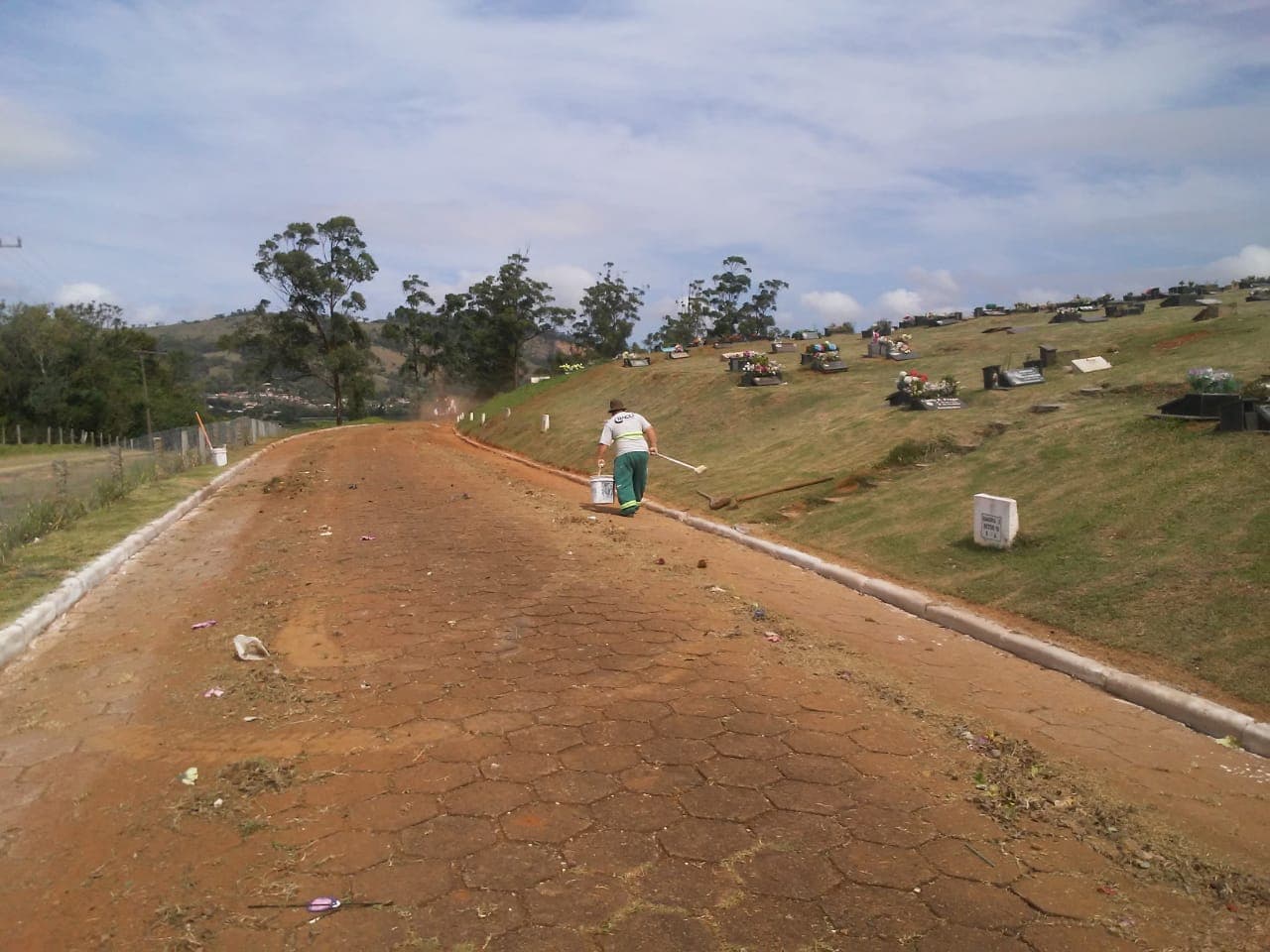 Limpeza de túmulos precisa ser feita até quinta-feira (31)