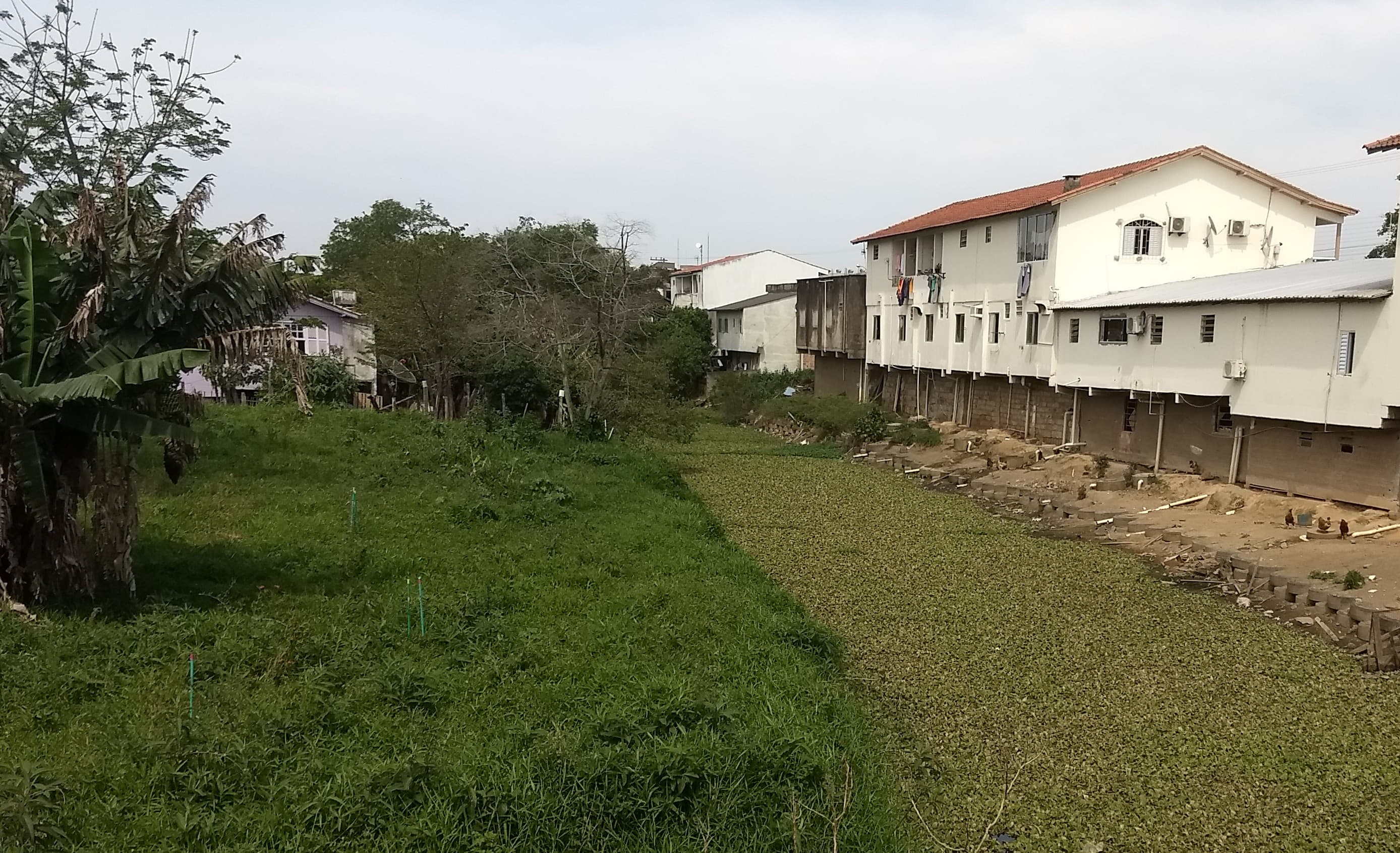 Estudo aponta irregularidades em mais de 900 edificações às margens do Rio da Madre