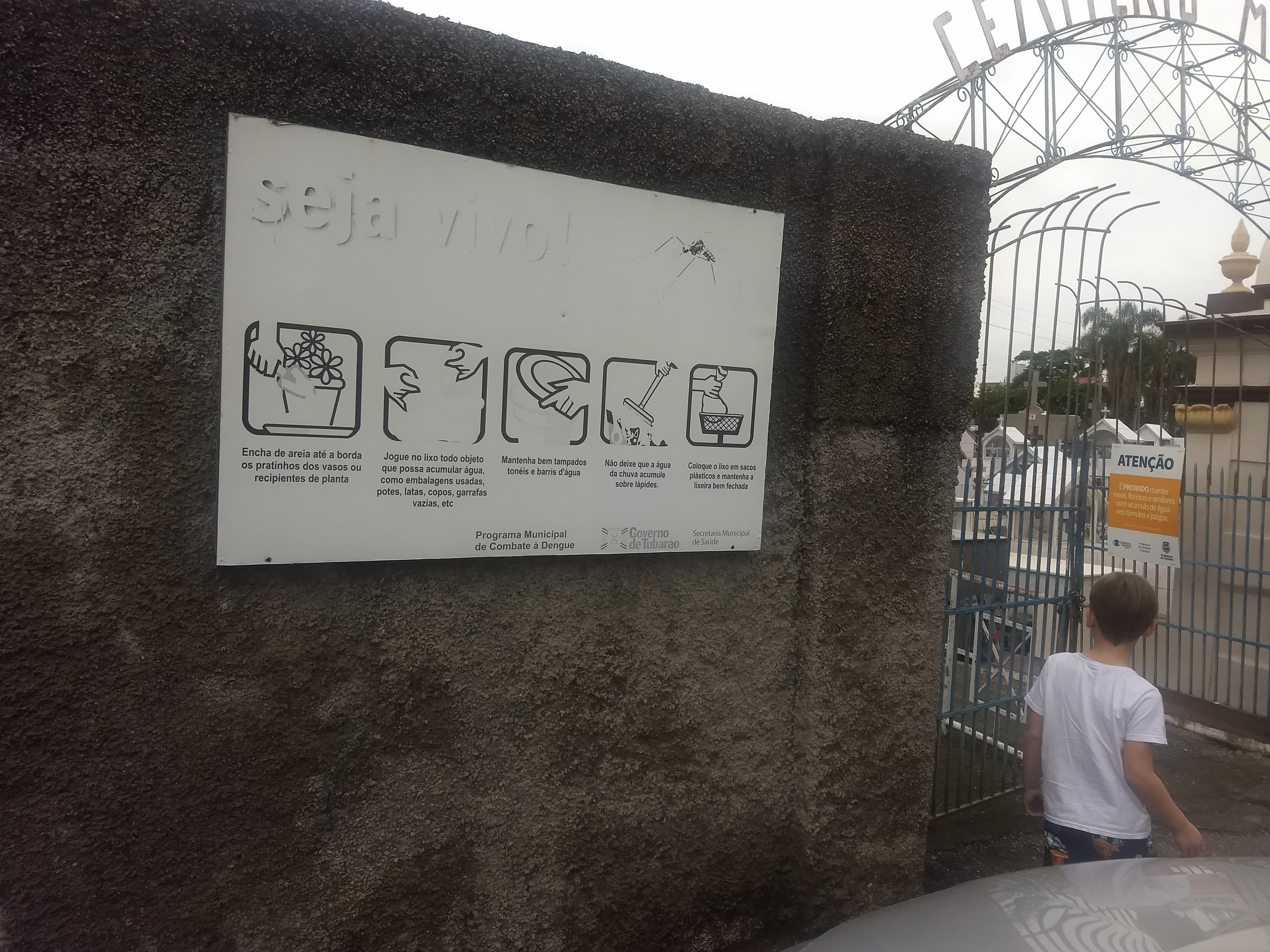 Gestos simples evitam a proliferação do Aedes aegypti nos cemitérios