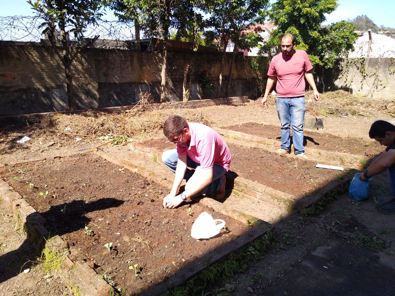 Revitalização de horta escolar promove educação ambiental