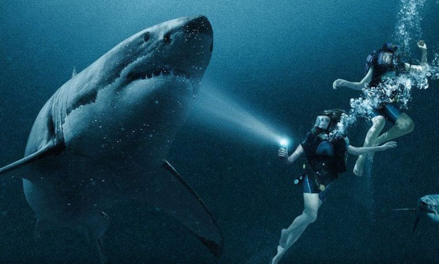 Confira a programação do cinema de 21 a 27 de novembro