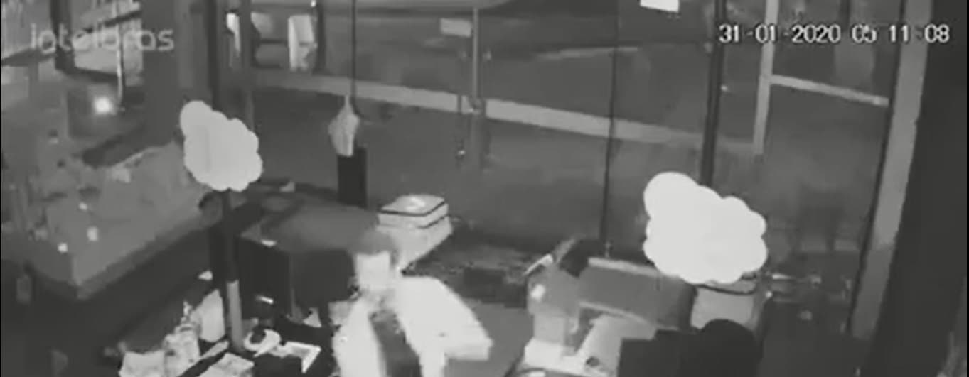 Câmeras flagram ladrão invadindo pet shop, no Aeroporto