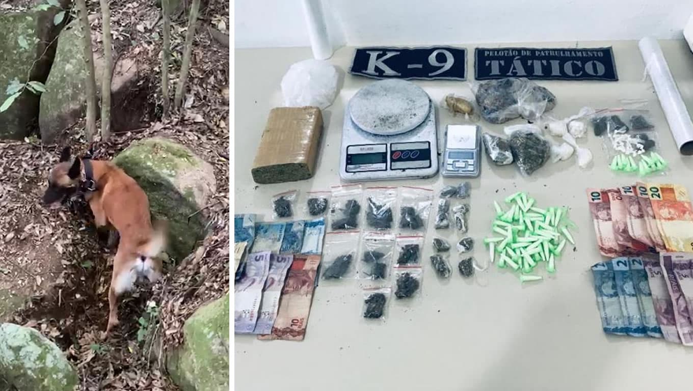 Polícia flagra homem traficando e cão farejador encontra droga enterrada, no Morro do Bem Bom