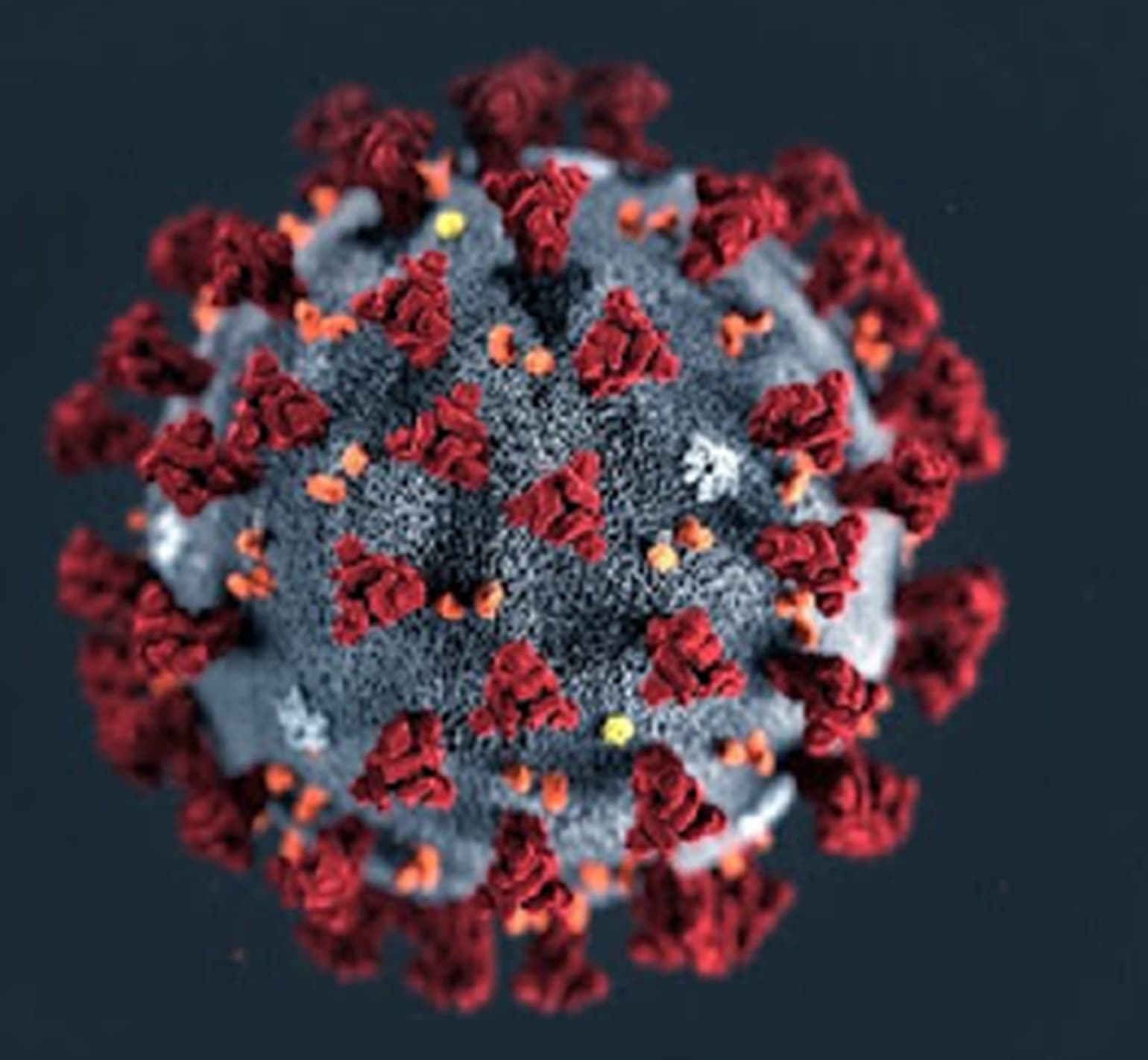 Alguns números da COVID-19 na saúde e na economia