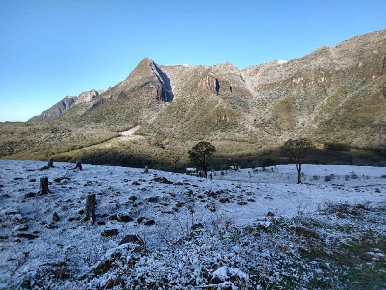 Santa Catarina abaixo de 0ºC: cidades da Serra registram neve