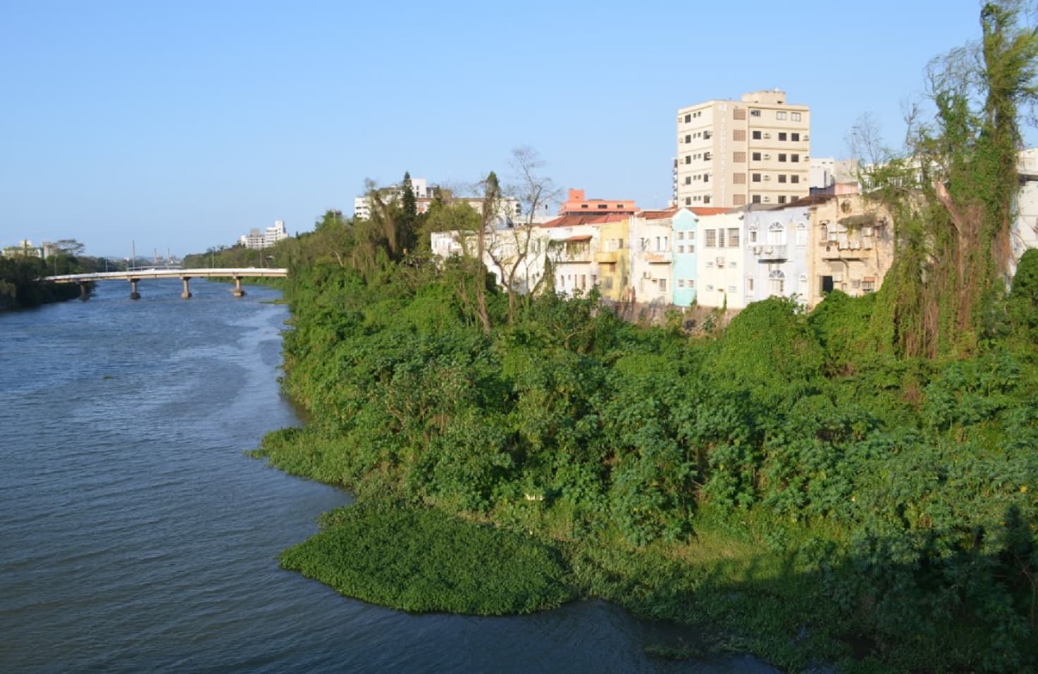 Tubaronenses criam o movimento “Tubarão - eu amo, eu cuido”