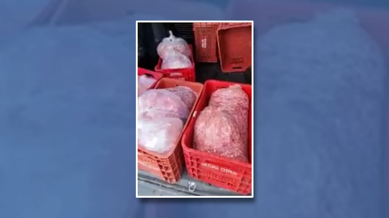 Carne transportada sem refrigeração é apreendida