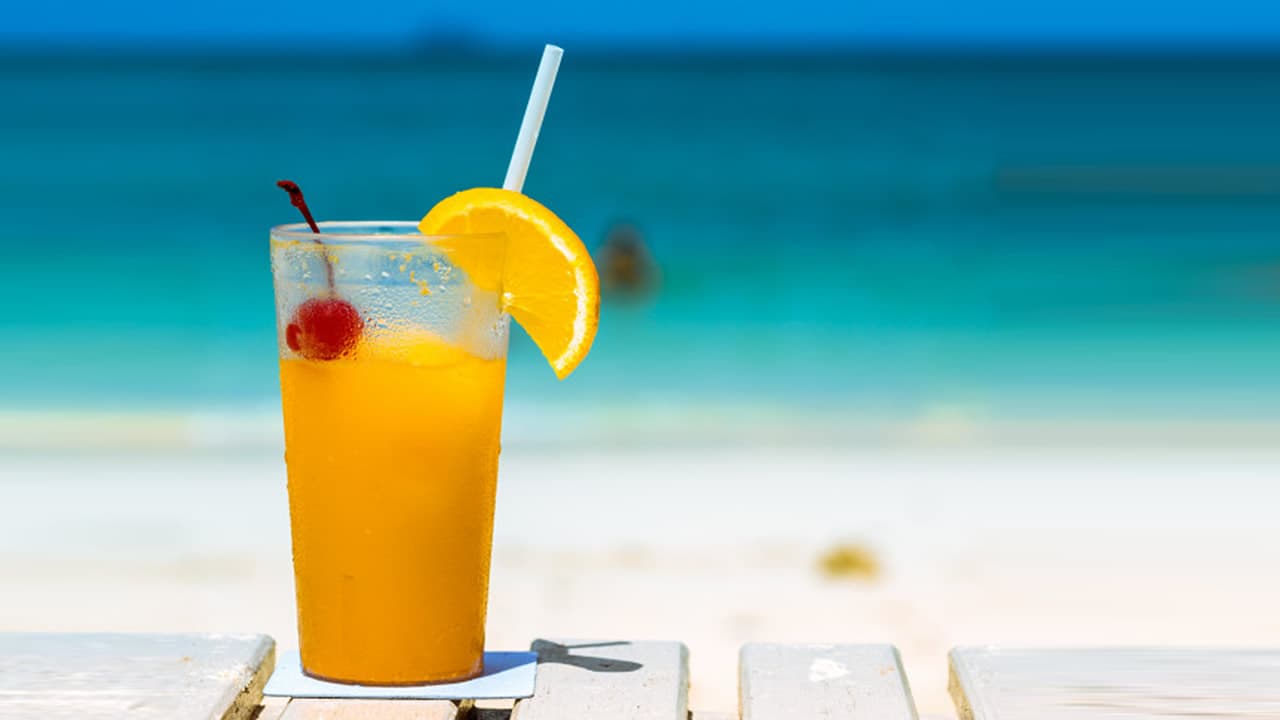 Opções de lanches para aproveitar o verão na praia