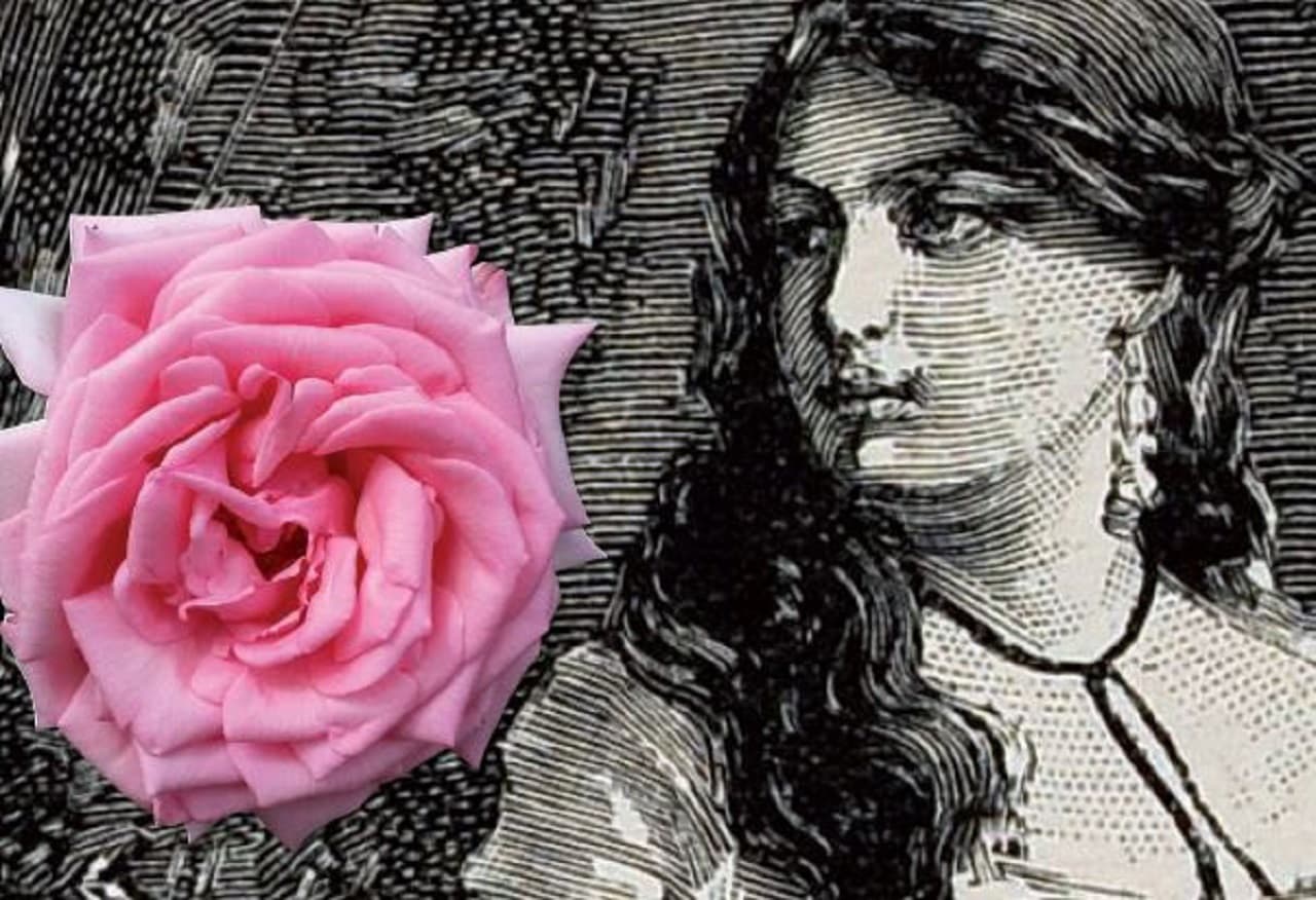 Decreto estadual estabelece 2021 como o ano comemorativo do bicentenário de nascimento de Anita Garibaldi