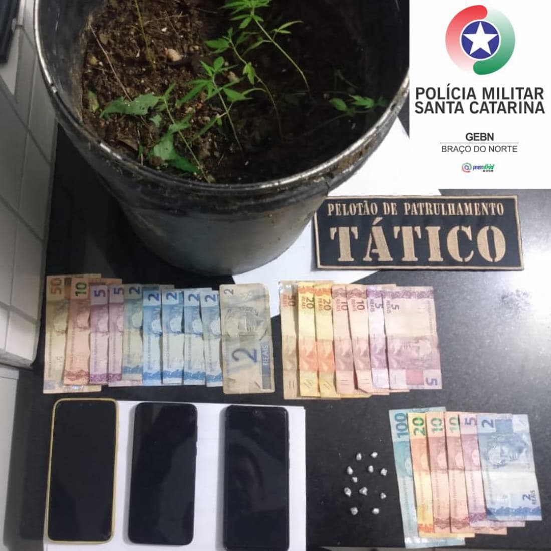 Dois homens são presos com crack, pés de maconha e dinheiro