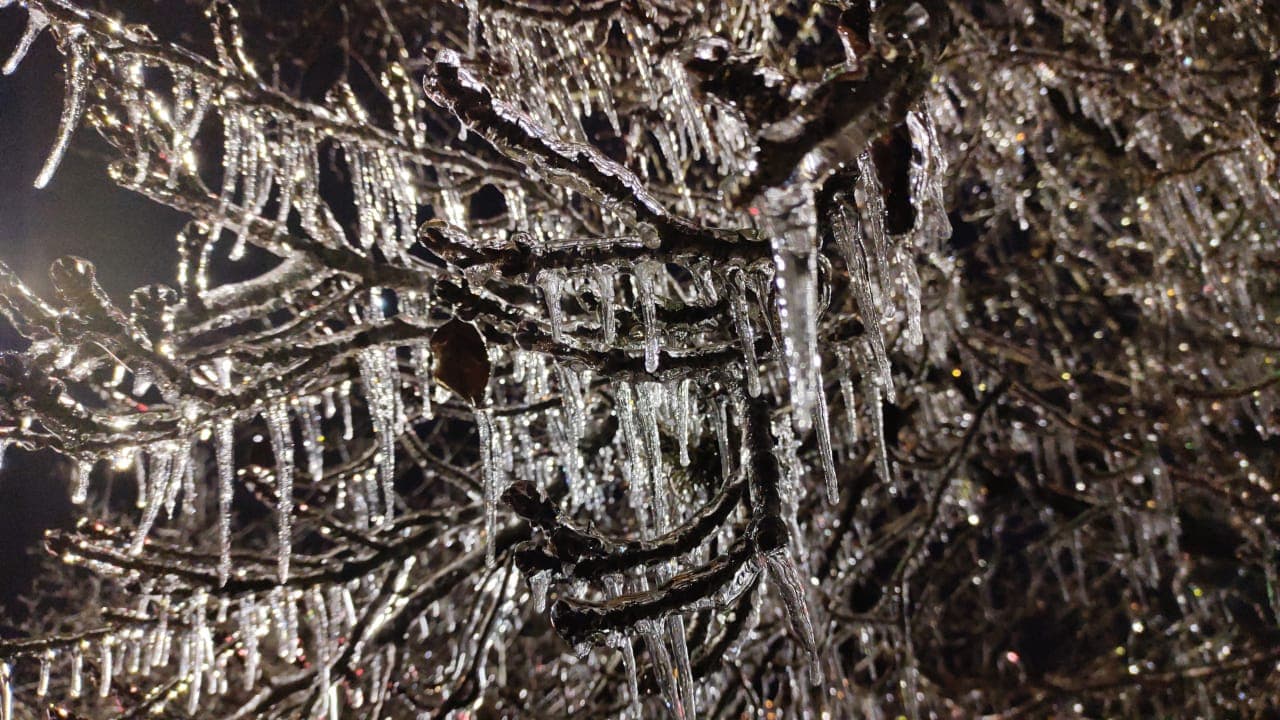 Terça-feira amanhece com temperaturas negativas na Serra e 3ºC em Tubarão