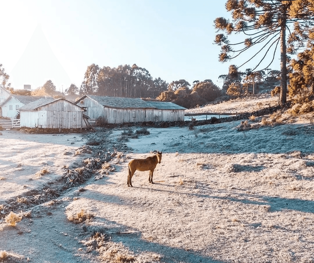 Previsão indica dias de calor seguidos por queda extrema na temperatura