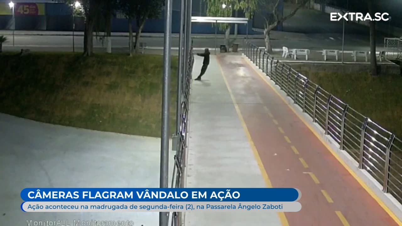 Câmeras de segurança flagram vândalo em ação