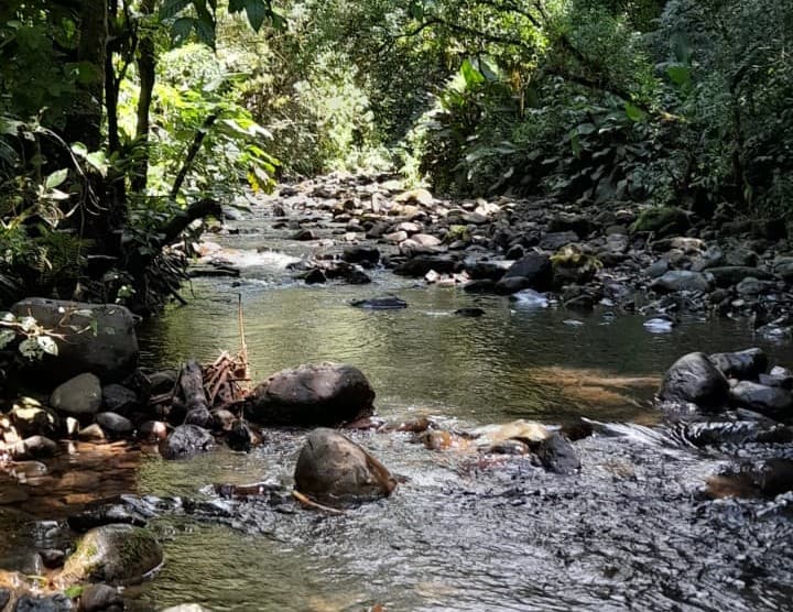 Homem morre após se afogar para salvar a mãe