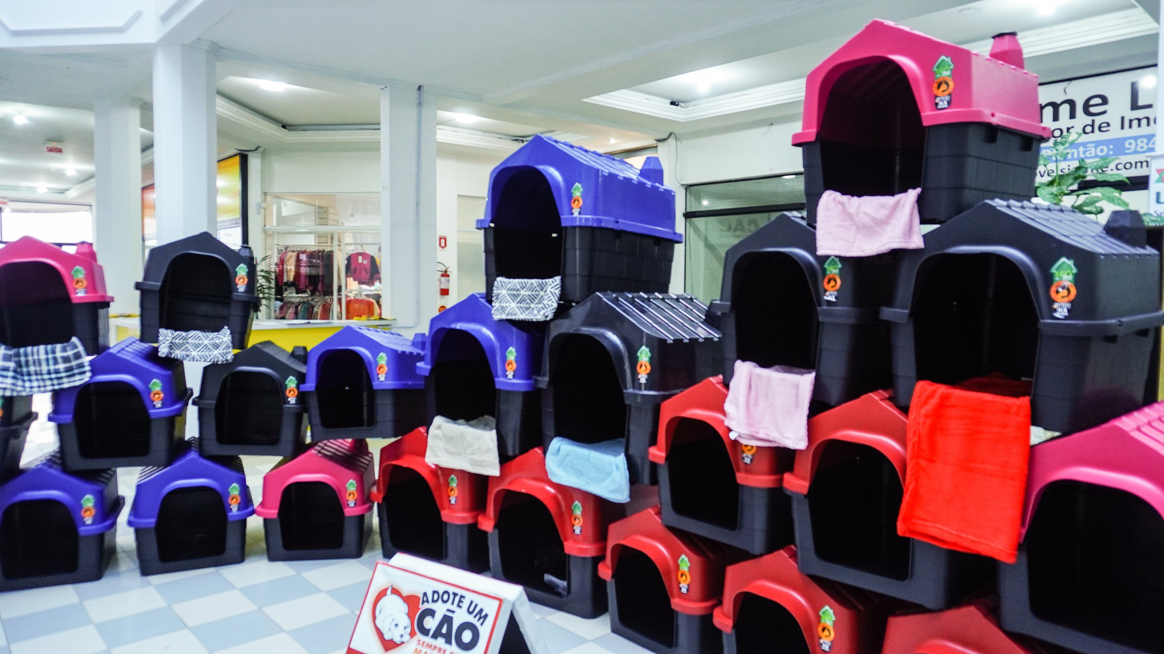 Casinhas e cobertas serão distribuídas para cachorros de rua