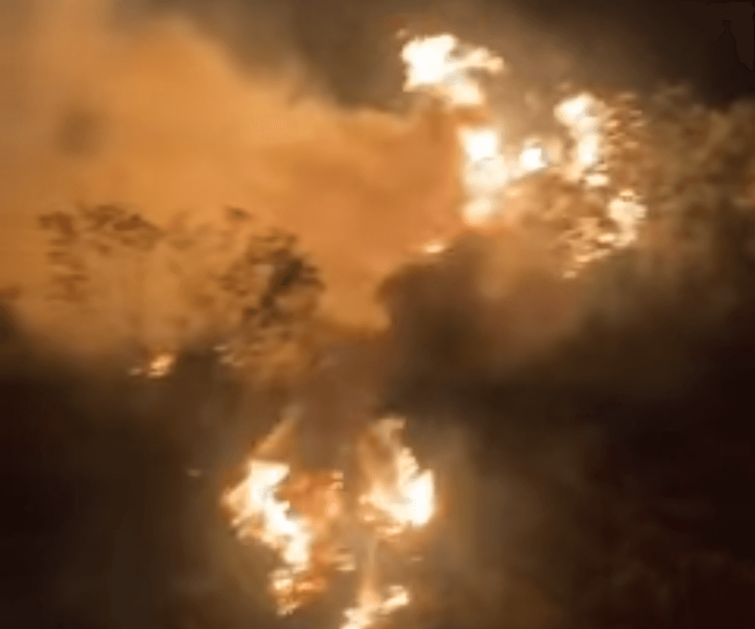 Focos de incêndio em vegetação são combatidos pelos bombeiros