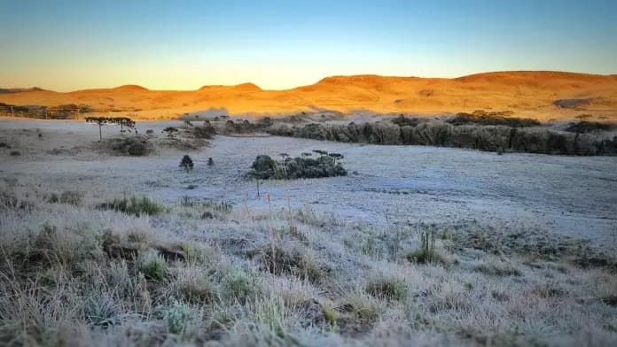 Serra Catarinense amanhece com temperaturas baixas e geada