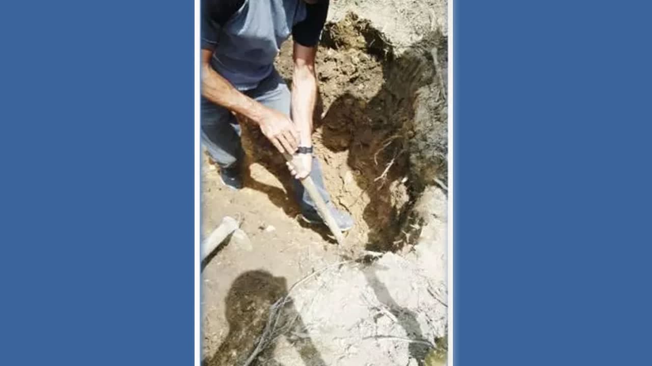 Homem é condenado a 16 anos de prisão por homicídio e ocultação de cadáver