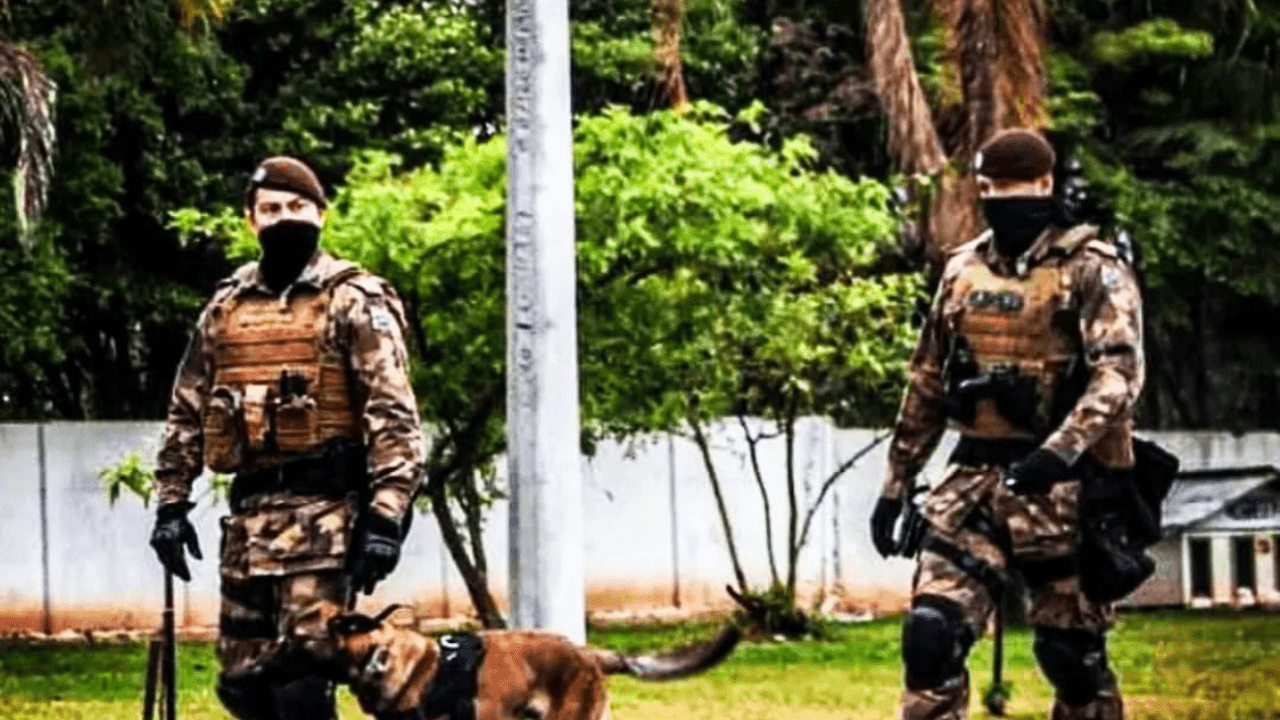 11 kg de maconha e arma são apreendidos em casa de traficante