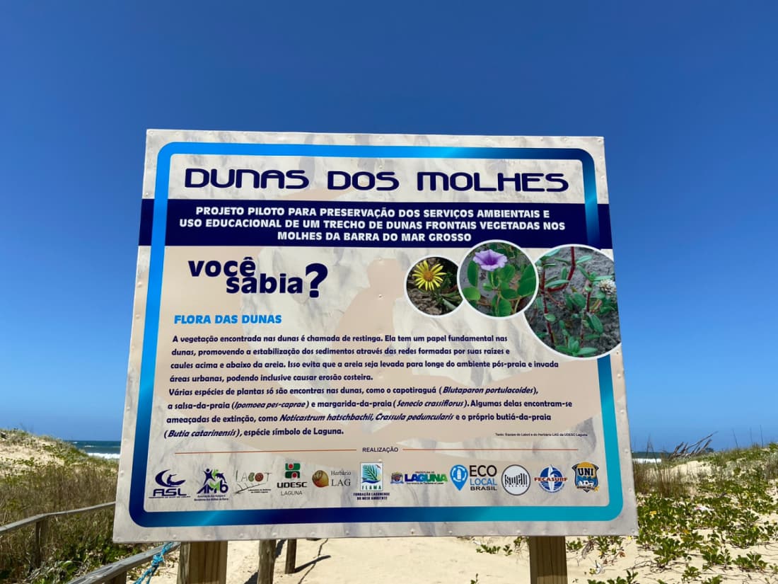 Entidades de Laguna realizam mutirão de limpeza na praia do Mar Grosso