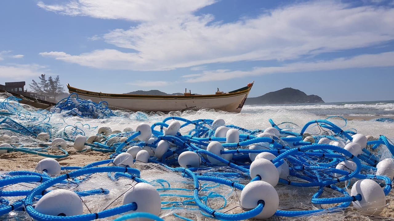 Credenciamento para pesca da tainha é iniciado