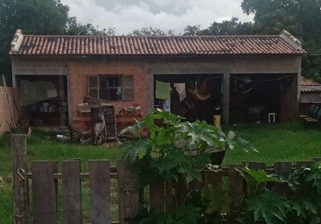 Homem é levado para o hospital após ser atacado por abelhas