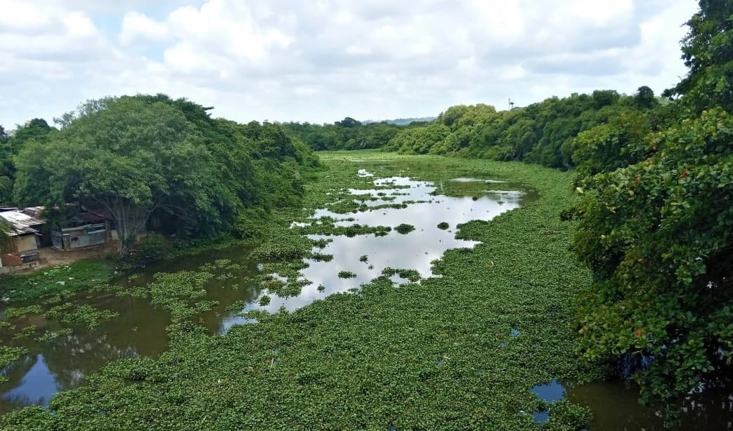 Liminar proíbe intervenções em área de preservação permanente às margens de rio de Jaguaruna