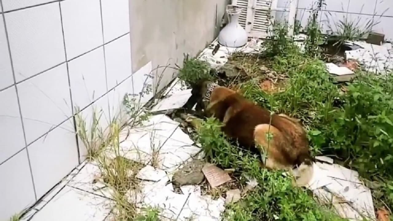 300 pedras de crack são descobertas com dois homens e um adolescente