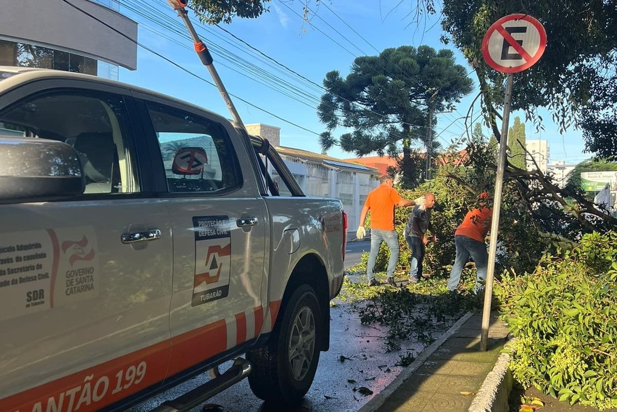 Cerca de 600 árvores tem risco de queda na beira-rio