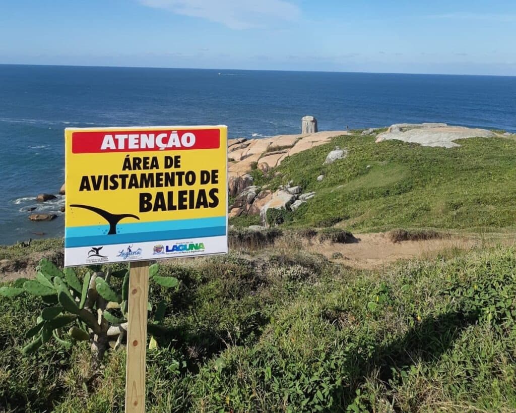 Áreas de avistamento de baleias e botos são sinalizadas em Laguna