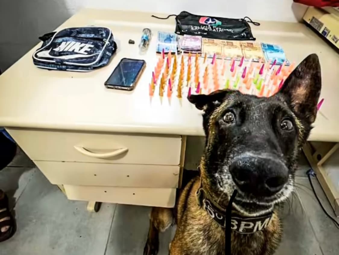 130 pinos de cocaína são apreendidos em condomínio conhecido por tráfico