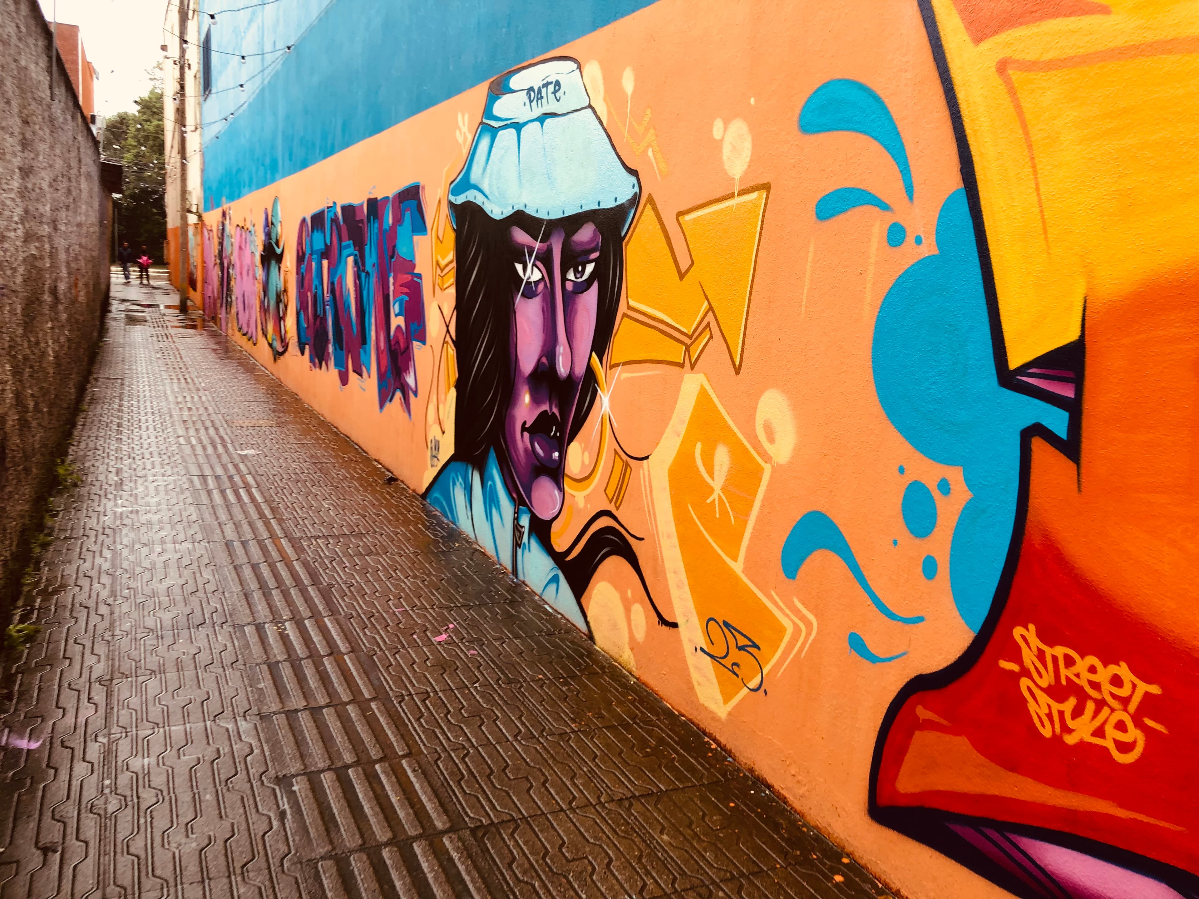 Beco no Centro de Tubarão é revitalizado com grafites