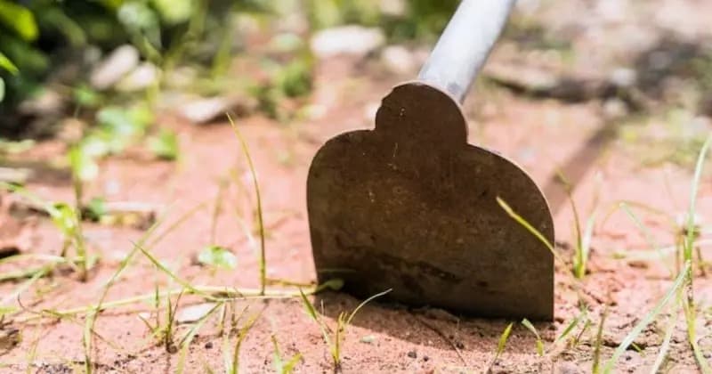 Homem ameaça ex-companheira com enxada e é preso em Laguna