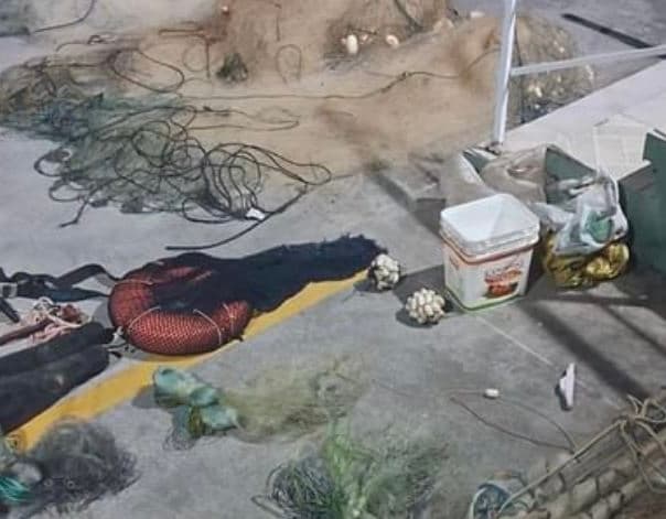 Mais de cem quilos de bagre protegido por lei apreendidos são doados para entidades