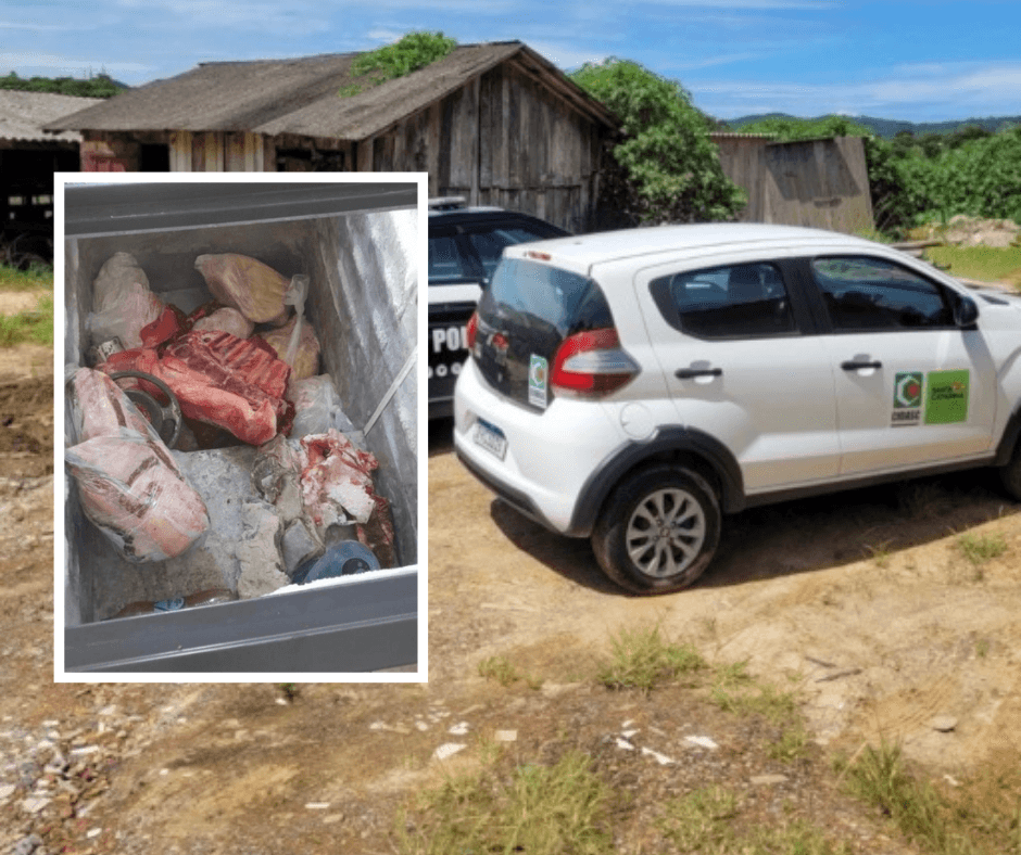 Carne imprópria para consumo é apreendida em abatedouros ilegais da região