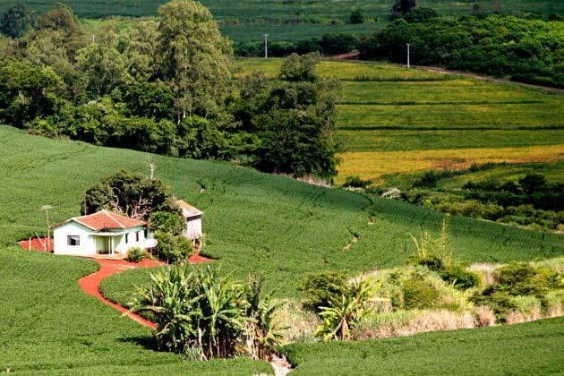 IPTU de imóveis rurais que tiveram a primeira cobrança em 2024 é suspenso em Tubarão