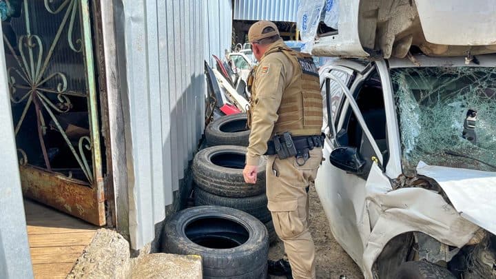 Ações de combate à dengue são intensificadas em SC