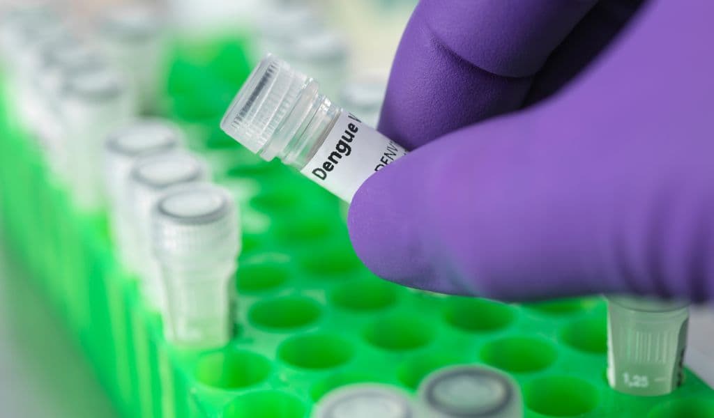 Número de casos de dengue sobe quase 45% em Tubarão em apenas uma semana